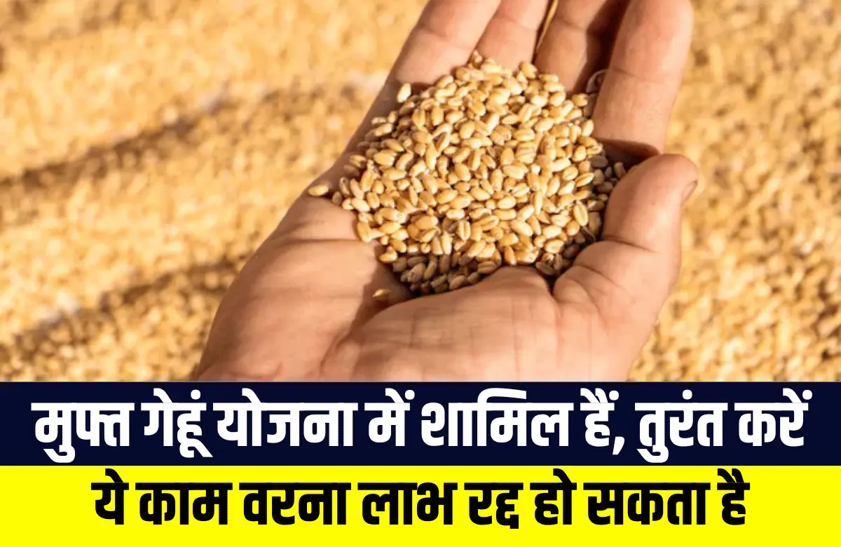 Punjab News