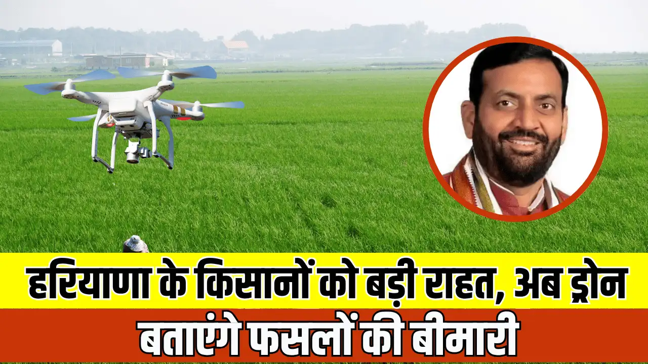 Haryana News