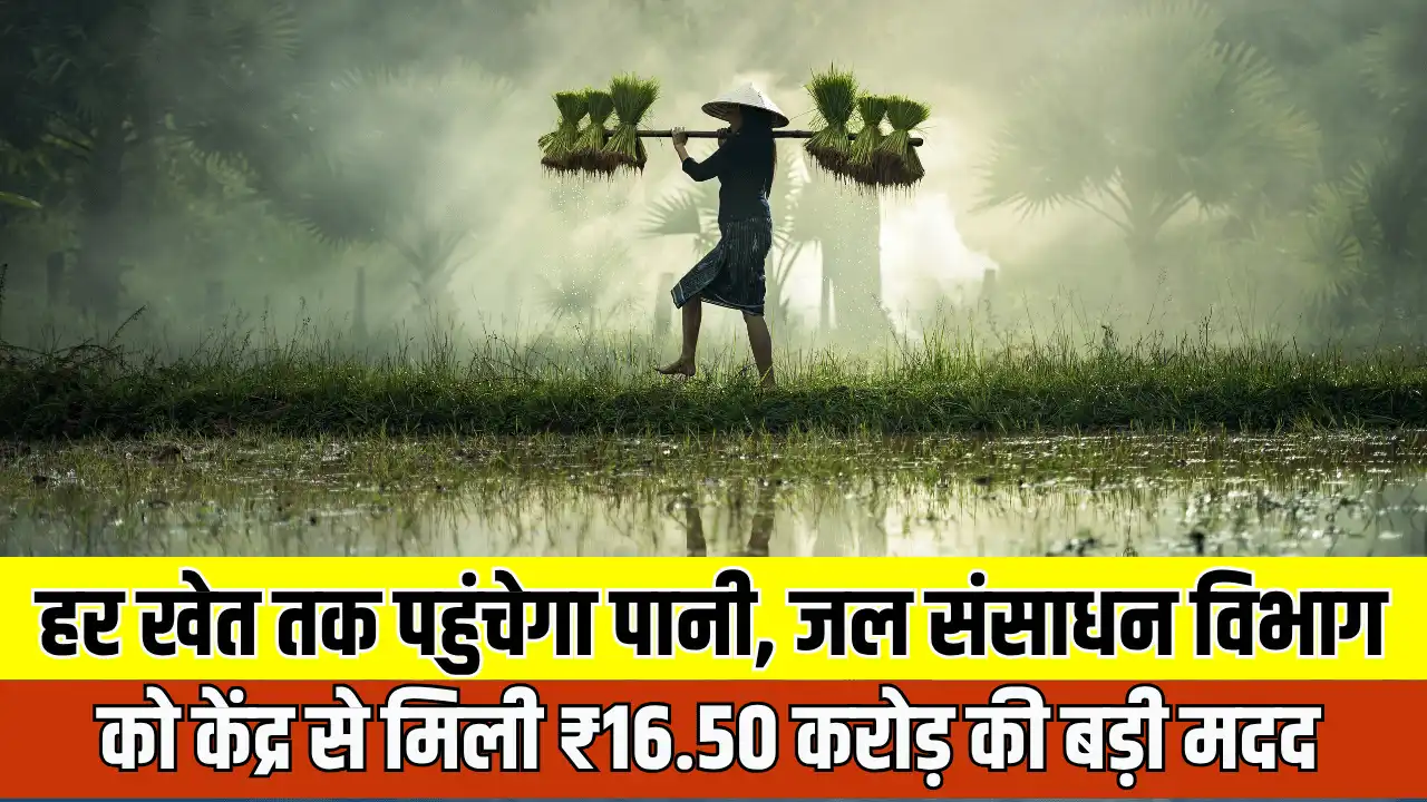 Every Field Water